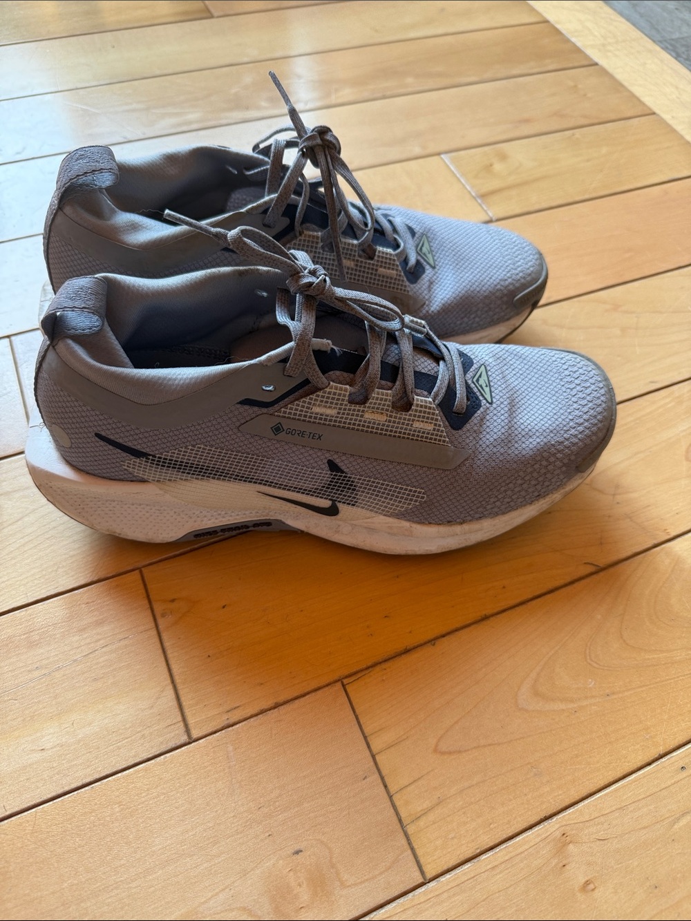 Nike Pegasus trail 5 GTX